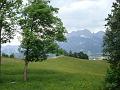 AUS04062009 (179)